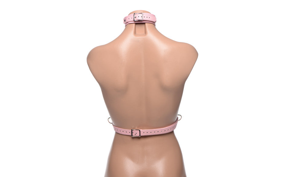 Miss Behaved Pink Chest Harness - Just for you desires