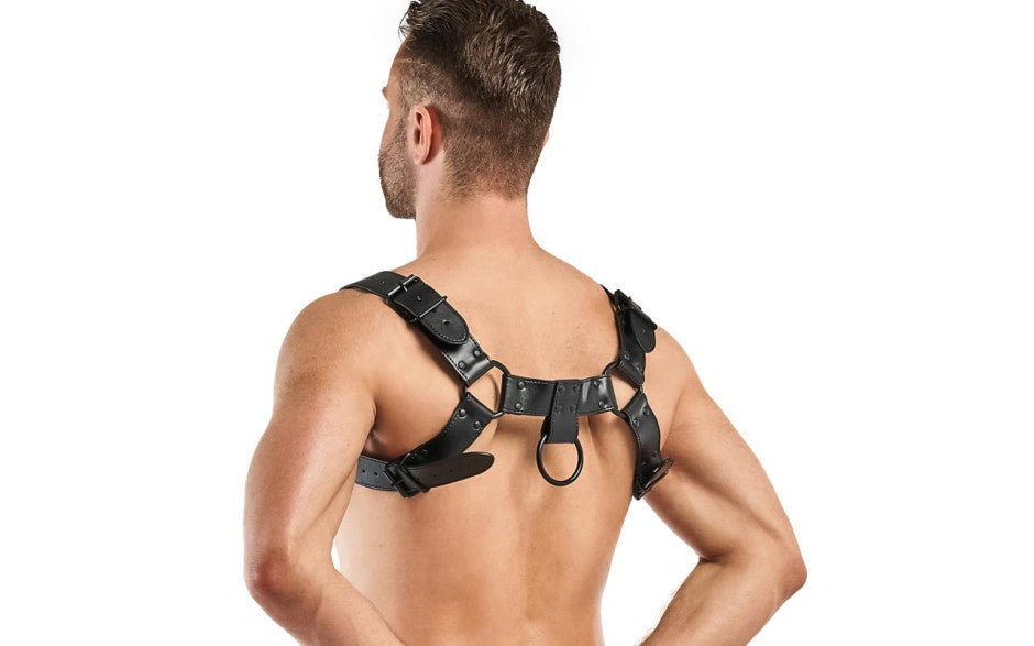 Bruno Bondage Harness Black - Just for you desires