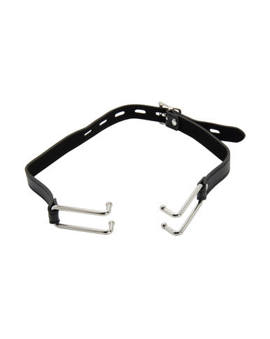 248128 - KinKi Spread Em' Mouth Gag - Just for you desires