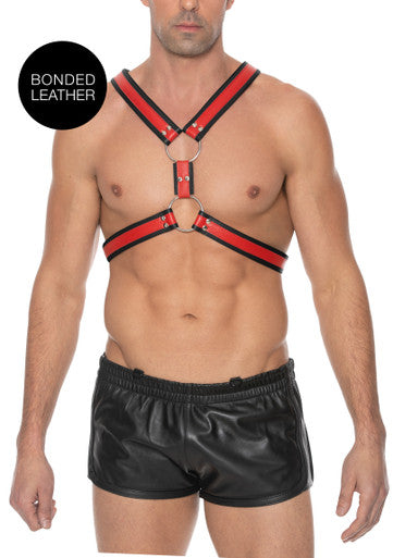 270084 - Z Series Scottish Harness - Just for you desires