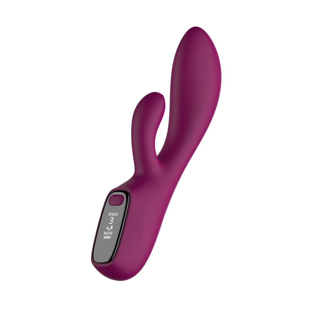 Passion Play Rabbit Vibrator with LED Screen -  19.2 cm USB Rechargeable Rabbit Vibrator - Just for you desires