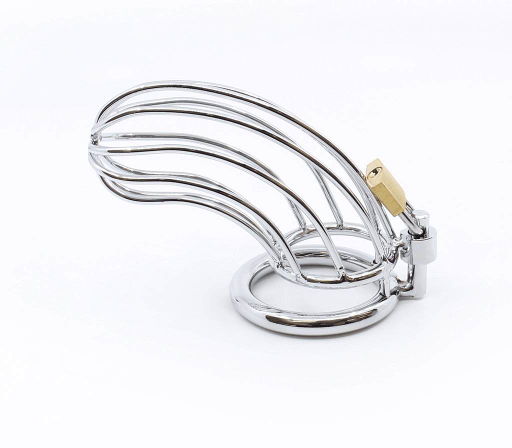 8124 - The Bird Cage Chastity Device Large - Just for you desires